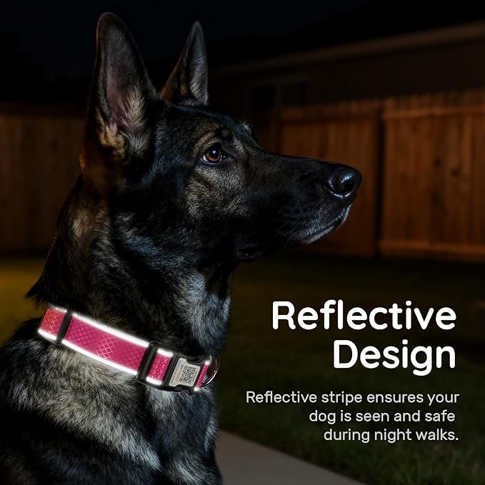Reflective Dog Collar for Large Dogs,Personalized Dog Collar with Online Profile, Soft Neoprene Padded,Anti-Lose Function with QR Code Tag System,Rose Red L