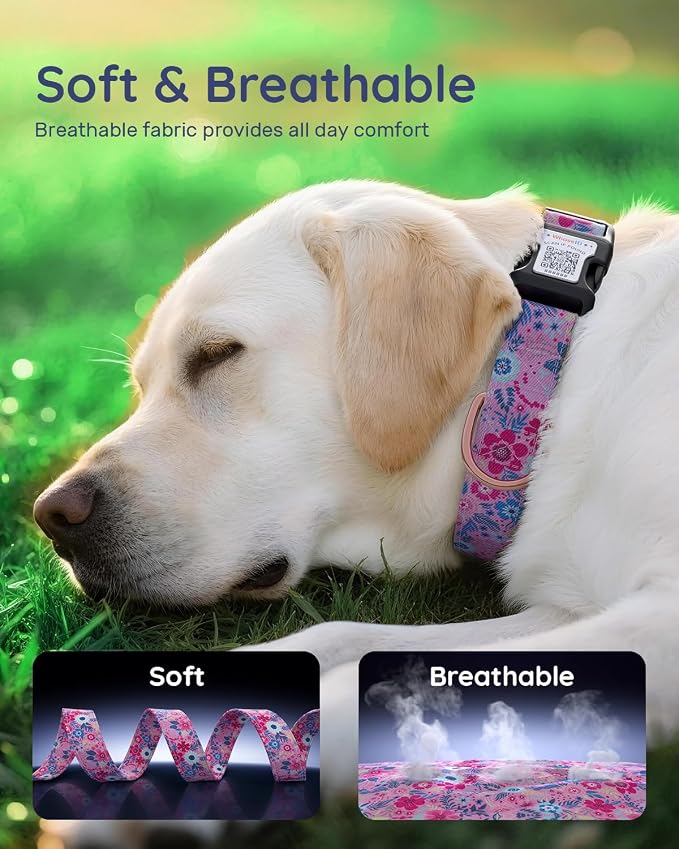 Dog Collar for Large Dogs with Smart QR Tags