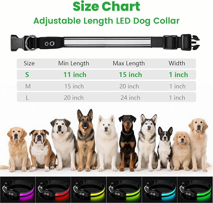 Auto Light Up Dog Collar - Smart Safety Night Collar with Motion Sensor - Auto-On in Dark - USB-C Rechargeable - 3 Day Runtime- IP65 Waterproof (S 11-15")