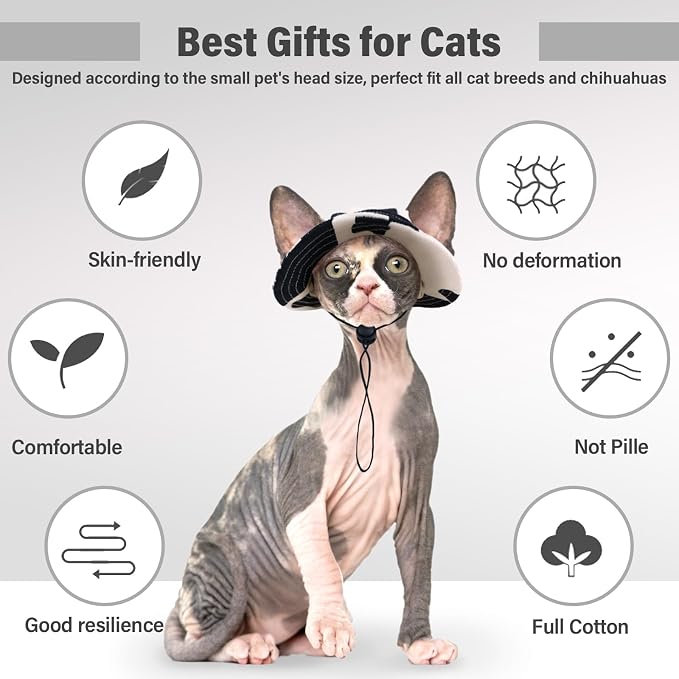 DENTRUN Cat Bucket Hat with Ear Hole, Cotton Birthday Bonnet for Small Pets | Breathable cotton, Adjustable Secures fit, For birthday Party, For small cats, daily cute photos