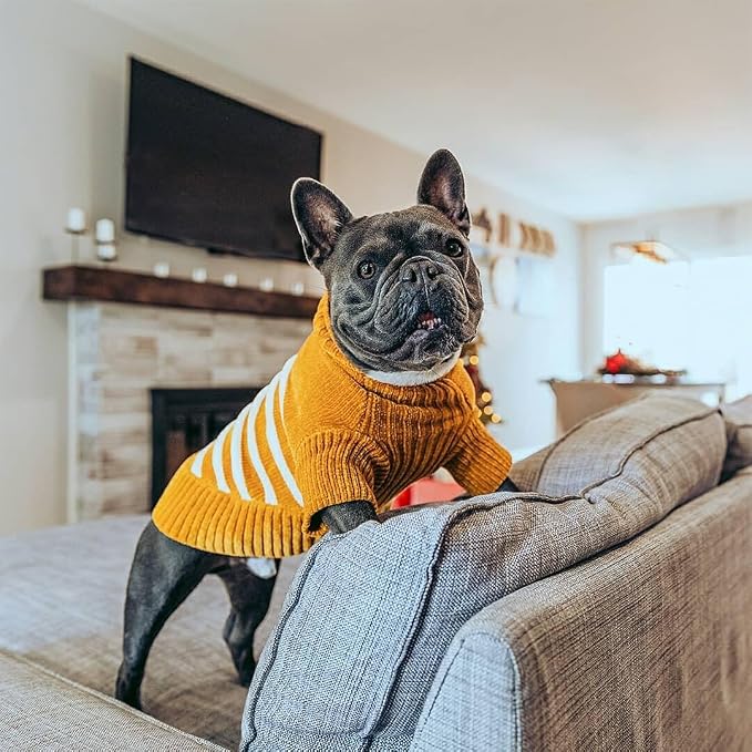 Blueberry Pet Cozy Soft Chenille Classy Striped Dog Sweater in Mustard, Back Length 14", Cat Sweater, Small Dog Sweater