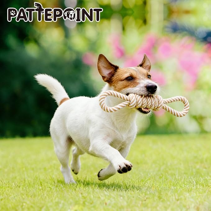 Dog Rope Toy for Small Dog 5pcs, Natural Chew Toys for Puppy, Medium Dogs