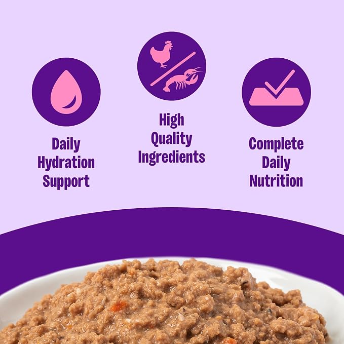Wellness Complete Health Pate Adult Canned Wet Cat Food, Natural, Protein Rich, Grain Free, Chicken and Lobster Dinner Recipe, 3 oz, Pack of 24 Cans