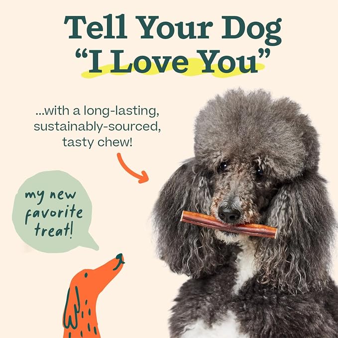 WOOF Bully Sticks Dog Chew Treats, 6 Inch, 5 Count | Free-range grass-fed beef, long-lasting chews, high protein, odor controlled, supports dental care