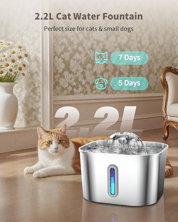 Stainless Steel Cat Water Fountain - 74oz/2.2L Cat Drinking Fountain | Quiet Cat Fountain for Indoor Cats and Small Dogs, Automatic Pet Water Dispenser Keeps Fresh Water, 4 Filters & 4 Sponges
