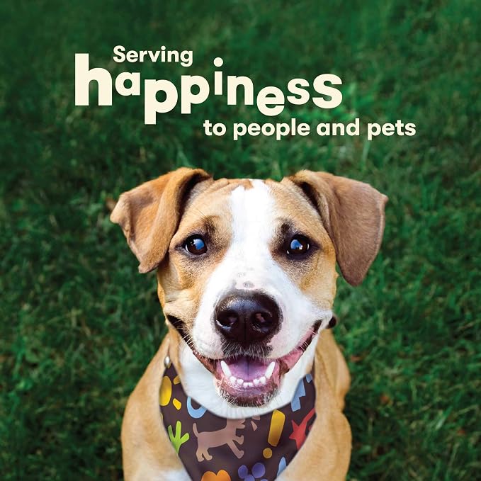Pet 'n Shape Duck 'n Hide Twist - Duck Wrapped Rawhide Natural Dog Treats, Large, 6 Count (Pack of 4)