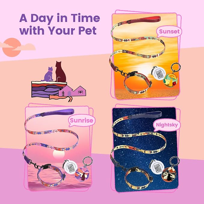 Dog Collar and Leash Set with QR ID Tag, 6 FT Leash, Purple, L