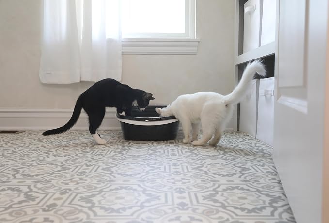 Arm & Hammer Large Sifting Litter Box Scoop Free Cat Litter Tray with Microban, Made in USA | Antimicrobial product protection, ideal for indoor felines, simple lift, shake and pour cleanup, helps keep odors in check