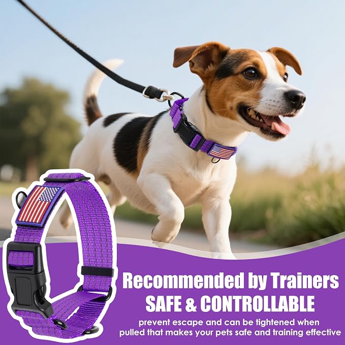 Martingale Dog Collar Reflective NO Pull with USA Flag, M, Purple