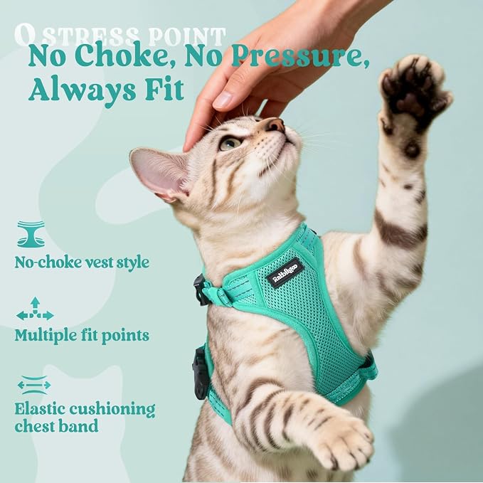 rabbitgoo Cat Harness and Leash, Easy-on with Neck Buckle, Green