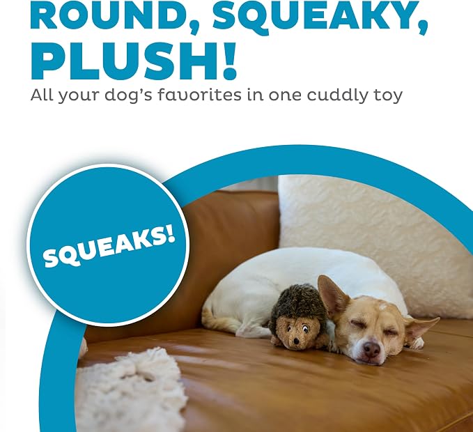 Outward Hound Hedgehogz Plush Dog Toy, Squeaks, Small, 6" x 4.5" | Soft Realistic Faux Fur, Round for Rolling & Chasing, Cuddle & Carry, Interactive Fetch, Light Chewers, Dogs & Puppies