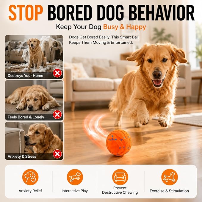 Interactive Dog Ball, Automatic Moving Toy for Small Dogs