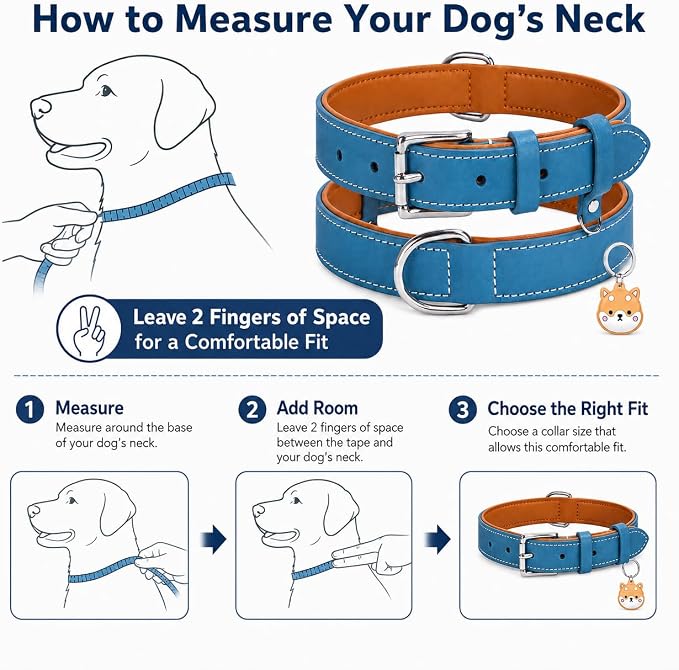 Genuine Leather Dog Collar, Soft Padded Leather Dog Collars with Airtag Holder Case for Small Medium Large X-Large Dogs,Comfort Heavy Duty Pet Collar with Durable Metal Buckle & D-Ring-Sky Blue/L