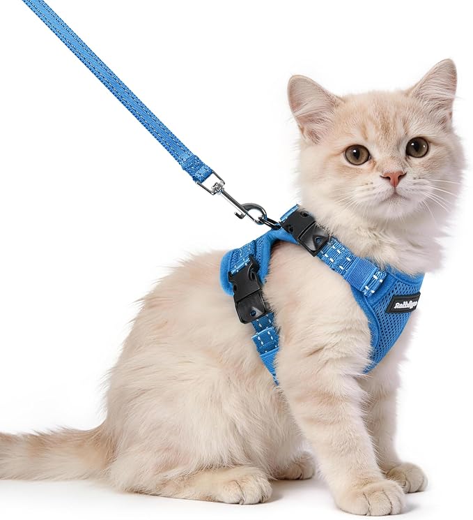 rabbitgoo Cat Harness and Leash, Easy-on with Neck Buckle, Royal Blue
