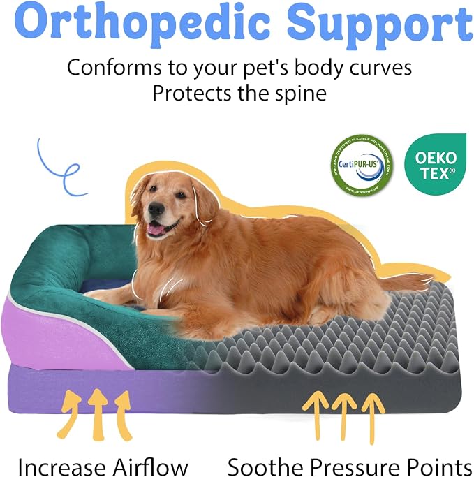 Waterproof Orthopedic XL Dog Bed for Large and Extra Large Dogs | Egg Crate Foam, 4-Sided Bolster Support, Waterproof Liner, Non-Slip Bottom, Machine Washable Cover, 42 x 30 Inch