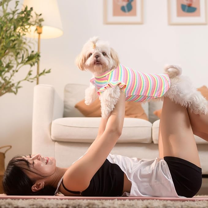 2 Pack Cute Striped Small Dog Shirts, Soft Cotton Girl Dog Clothes Breathable Ruffled Puppy Vest Spring Summer Pet Outfits for Chihuahua Yorkie Maltese and Cats（Pink+Orange,X-Large）