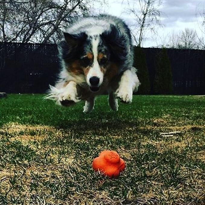 SodaPup Crazy Bounce – Durable Dog Ball Toy & Chew Toy Made in USA from Non-Toxic, Pet-Safe, Food Safe Natural Rubber Material for Bonding, Mental & Physical Exercise, Problem Chewing, & More