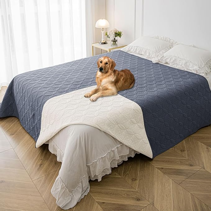 Waterproof Couch Cover for Dogs - Washable Pets Furniture Protector | TPU Leak-Proof Liner, Lightweight & Reversible, Fits Chair, Sofa, Bed, 82" x 82" , Blue/Cream