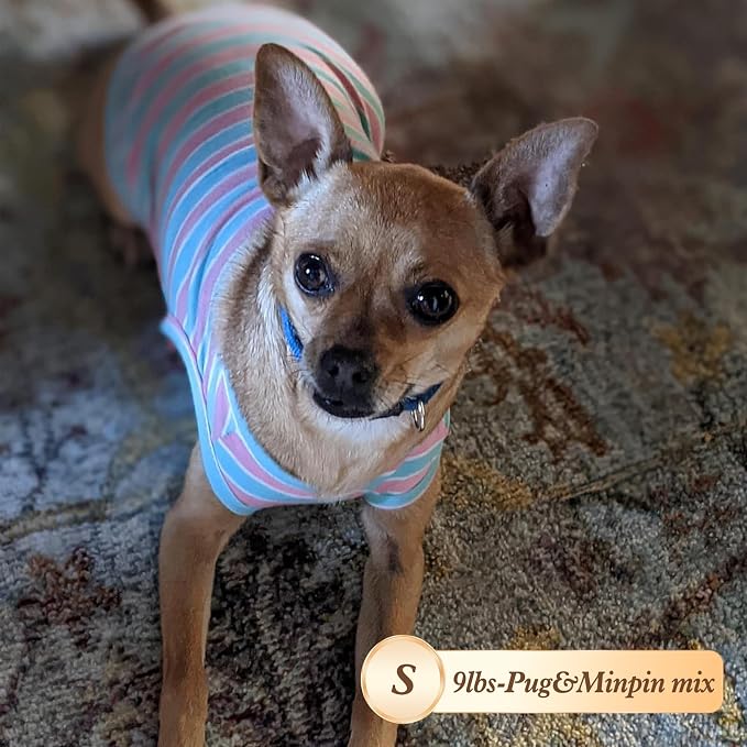 KYEESE 2Pack Cotton Dog Shirt for Small Dogs Soft Striped Tank Top | Reflective for Safety, Lightweight & Breathable, Gentle on Sensitive Skin, Stretchy & Free to Move, Comfortable Daily Wear