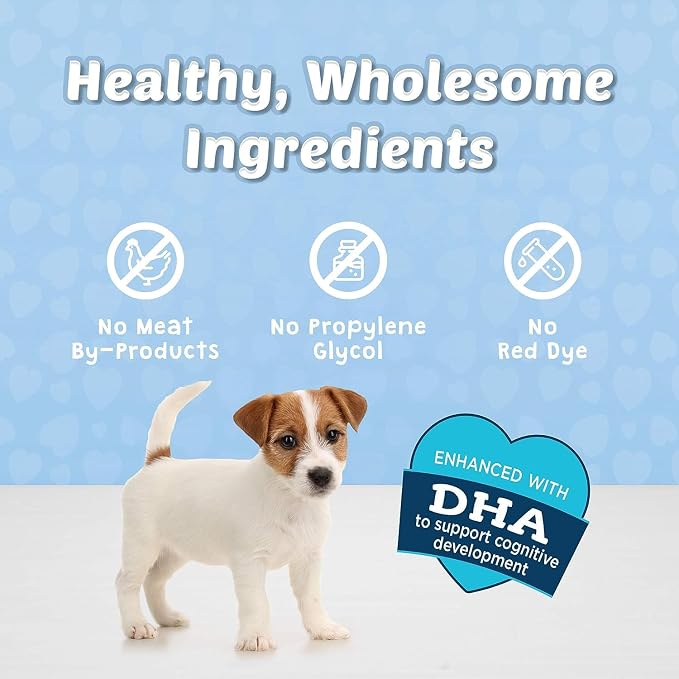 Blue Buffalo Bits Soft Dog Treats for Training, Made with Natural Ingredients & Enhanced with DHA, Salmon Recipe, 4-oz Bag (Pack of 6)