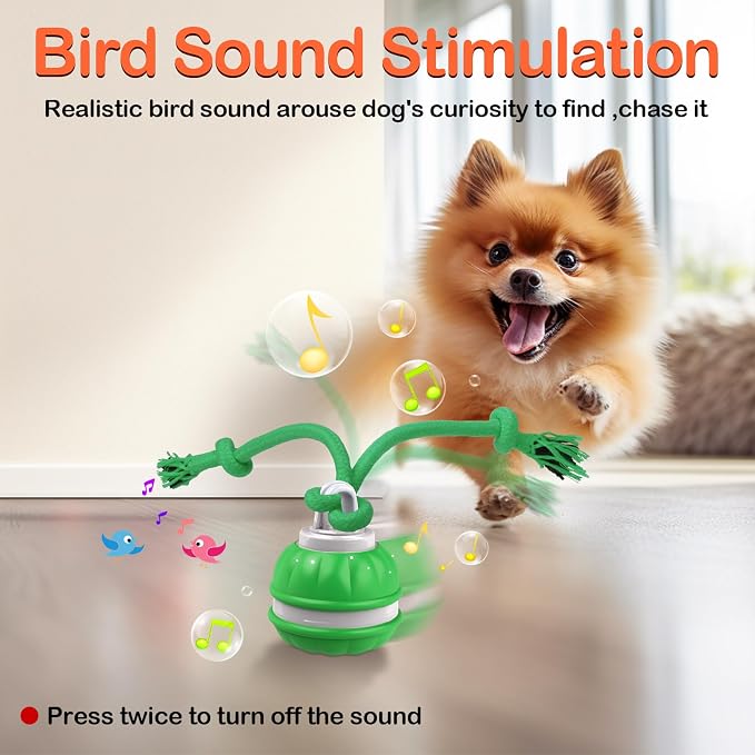 Interactive Dog Toys Rolling Ball for Puppy,Peppy Pet Ball for Dogs,
