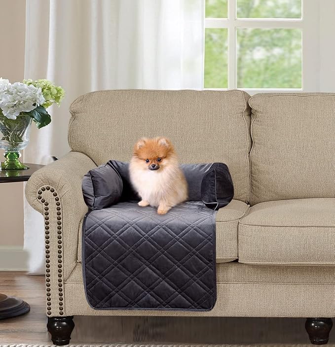 Brilliant Sunshine Grey Velvet Dog Sofa Slipcover, Small | Calming Pet Couch Bed with Removable & Washable Cover, Funiture Protector & Bed Mat for Dogs, Pets, Cats, 18"×32"×8"