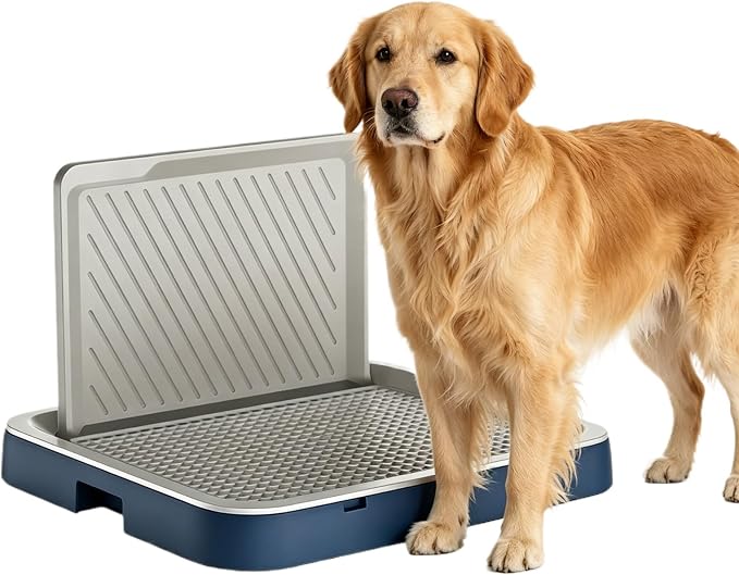 High Wall Dog Potty Tray, Mesh Pee Pad Holder, Indoor Puppy Training Toilet, Dog Litter Box, Housebreaking Supplies for Small Medium Dogs 19.88''LX11.81''WX10.63''H(Blue)