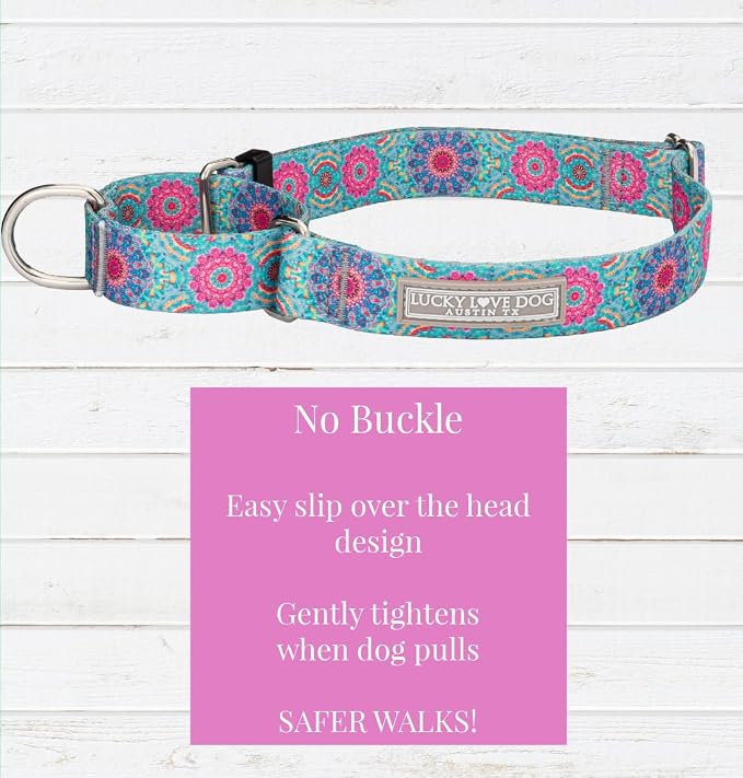 Lucky Love Dog Martingale Collar for Small Dogs No Slip Cute – Clara, Small