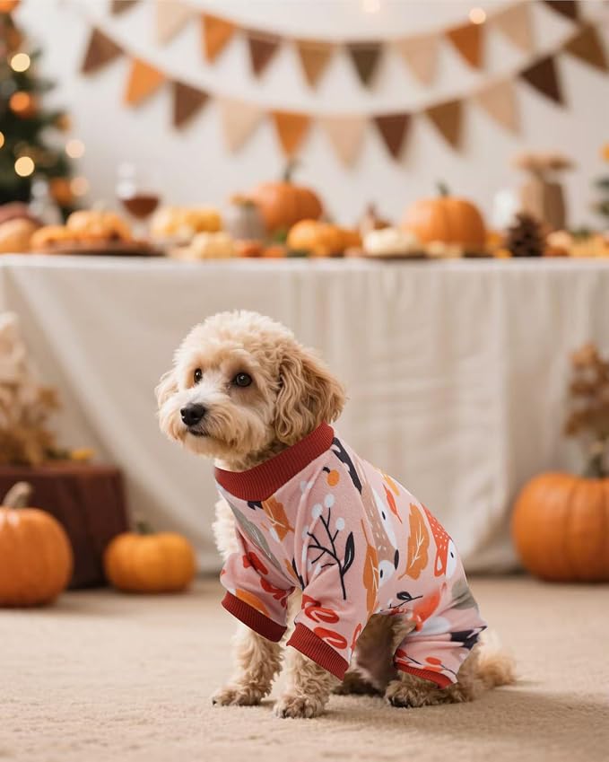 PET SHOW 4 Pack Fall Velvet Dog Pajamas for Extra Small Dogs | Soft stretchy dogs onesies,boy girl thanksgiving pjs with sleeve,holiday jumpsuit costume for small pets cats,XS