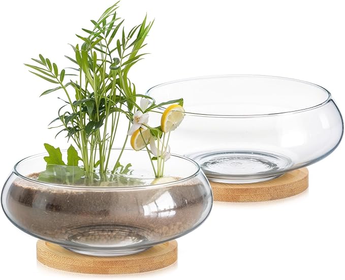 2 Sets Glass Planter Bowls for Flowers with Tray 6'' Round Glass Vase Bowl Hydroponic Lotus Planter Pot Propagation Vases Fish Bowl for Plants Indoor Windowsill Kitchen Desktop Wedding Decor