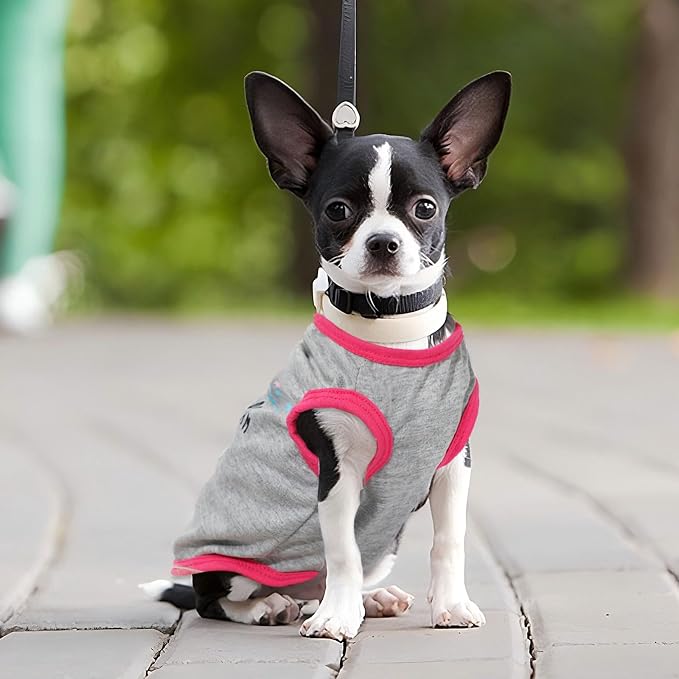 4 Pack Dog Shirts for Small Dogs Spring Summer Printed Puppy Clothes Cute Pet T Shirts Dog Clothes for Small Dogs Cats Girl (Grey+Pink+Purple,Black, XXS)