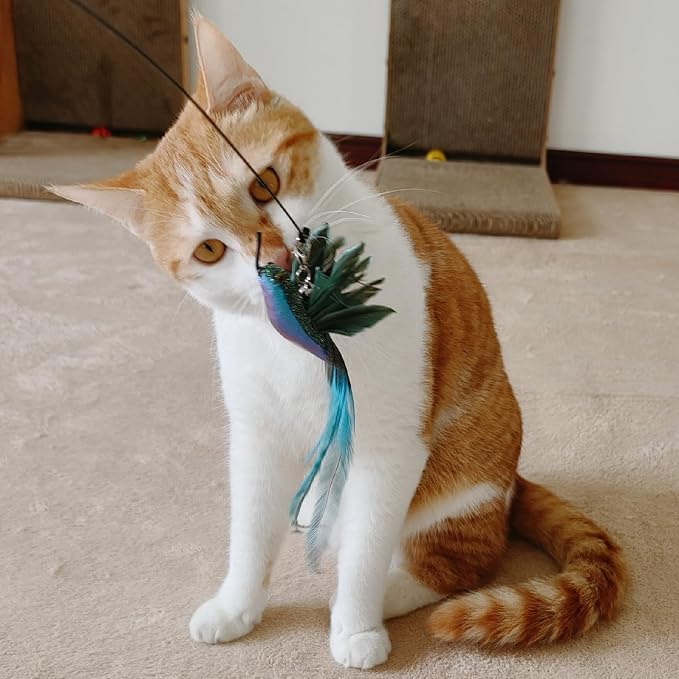 miwoowim 35" Steel Wire Cat Wand Toy & 6PCS Realistic Feather Bird Refills | Sturdy wooden handle for easy grip.Handcrafted birds with bells.Promotes active play, healthy exercise & bonding