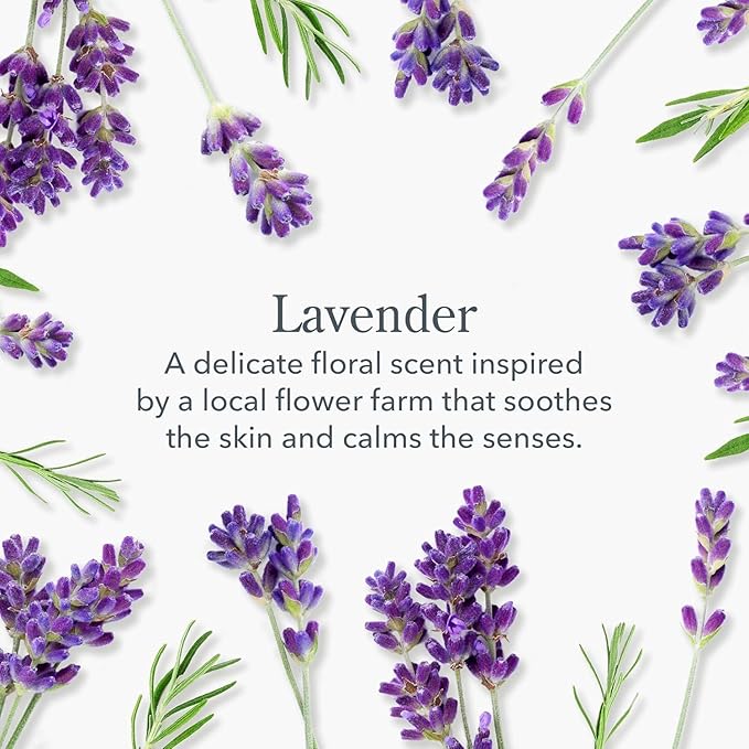 Beekman 1802 Whipped Body Cream, Lavender - Scented - 8 oz - Intensely Hydrating & Softens Skin - With Goat Milk - Good for Sensitive Skin - Cruelty Free