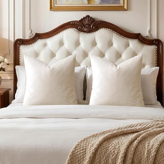 GIGIZAZA Velvet Pillow Covers 26x26 Decorative Pillows Pack of 2 Ivory | Beige Throw Pillows for Couch,Euro Sham,280gsm Soft Textured Fabric,Modern Pillowcases,Luxury Cushion Covers