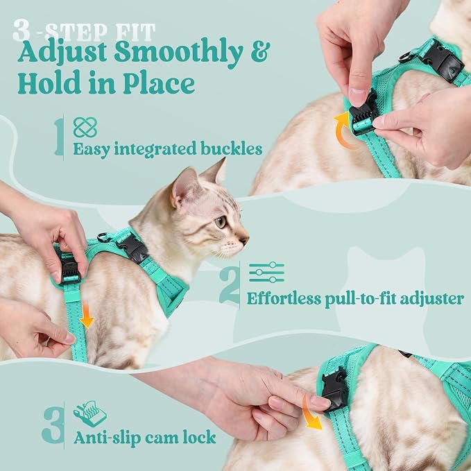 rabbitgoo Cat Harness and Leash, Easy-on with Neck Buckle, Green