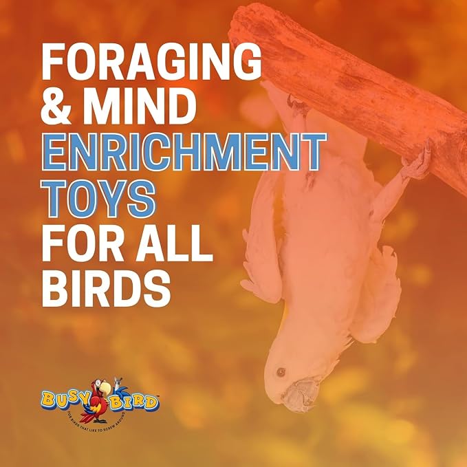 Bird Toys for Large Birds (Blue Spinner) Stainless Steel Bird Toy with Traveling Spinner | Macaw Toys | Durable Puzzle Enrichment Toy for Medium to Large Birds Cockatoos Parrot | Bird Cage Accessories