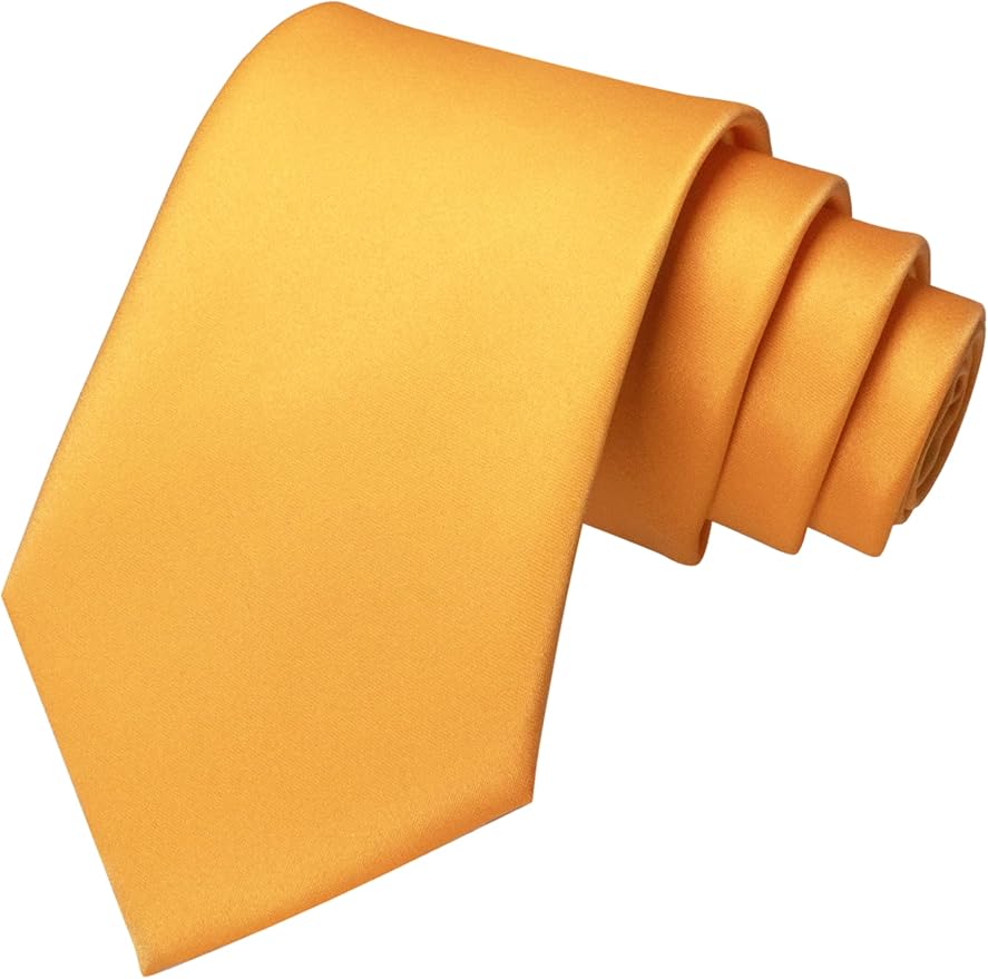 JEMYGINS Solid Color Tie Mens Necktie for Business and Wedding