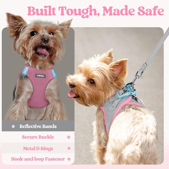rabbitgoo Dog Harness Medium Sized and Leash Set, Step-in Puppy Pet Vest | Light, Soft, Breathable Air Mesh, Easy on and Remove with Hook & Loop, Secure Reflective for Walking, Light Pink & Gray L
