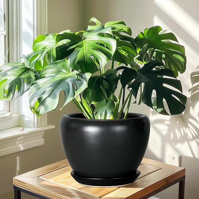 Ceramicfor Ceramic Pot for Plants - 10 Inch Plant Pot Indoor with Drainage Hole and Saucer Large Planter Decorative Planter Modern Outdoor Flower Pot for House Balcony Black