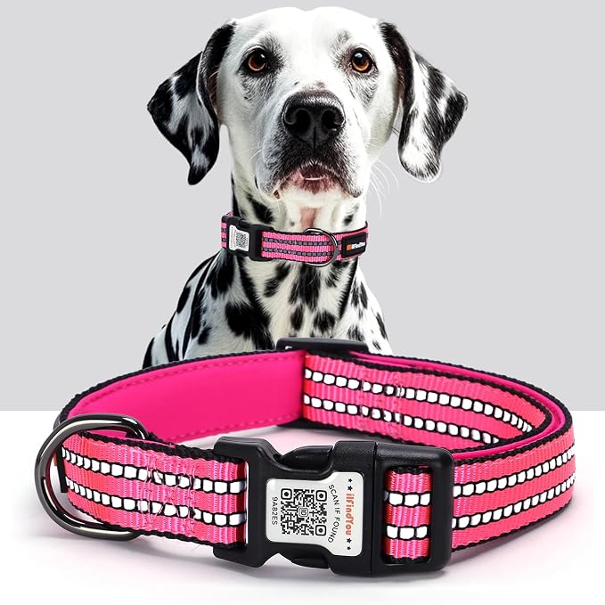 Personalized Dog Collar with QR Code Dog Tag, Rose Red L | Anti-lost, 1000D nylon, reflective, padded, XS-L(8"-24"), QR buckle shares lost pet profile, location alerts when scanned