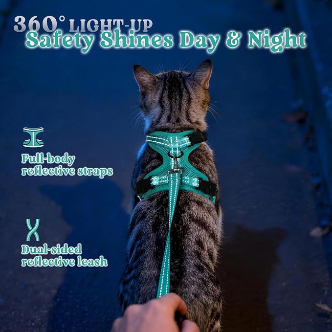 rabbitgoo Cat Harness and Leash, Easy-on with Neck Buckle, Green