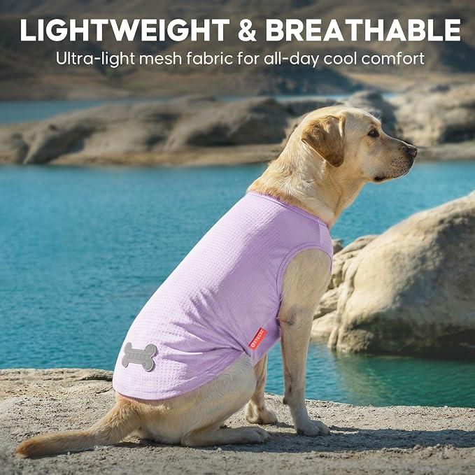 KYEESE 2Pack Dog Shirt, Lightweight Sun Protection Dog T Shirts for Medium Large Dogs Boy Girl, Breathable Mesh Tank Top Sleeveless Pet Reflective Vest, Soft Summer Dogs Clothes, Dinosaur+Purple, 2XL