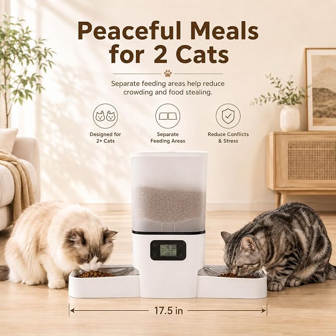 Automatic Cat Feeder for 2 Cats & Small Dog, 6L Large Capacity for Dry Food | Timed Cat Food Dispenser with 2 Stainless Steel Bowl, Dual Power Supply, Detachable & Dishwasher Safe, LED Display Screen
