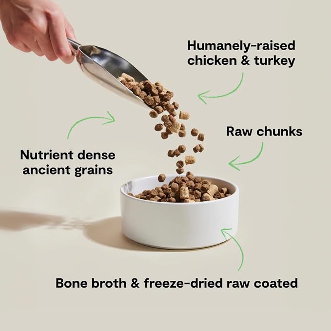 Open Farm RawMix Ancient Grains Dry Dog Food, Open Prairie Kibble, 3.5lb | Humanely-Raised Chicken and Turkey, Freeze Dried Raw Chunks, 100% Traceable Ingredients, Non-GMO Fruits & Veggies, 3.5lb Bag.