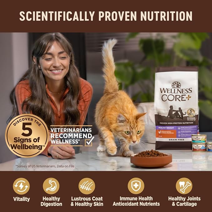 Wellness CORE+ Adult Dry Cat Food for Indoor Cats, Natural, Grain Free Kibble, Salmon and Herring Meal Recipe, 11 lb Bag