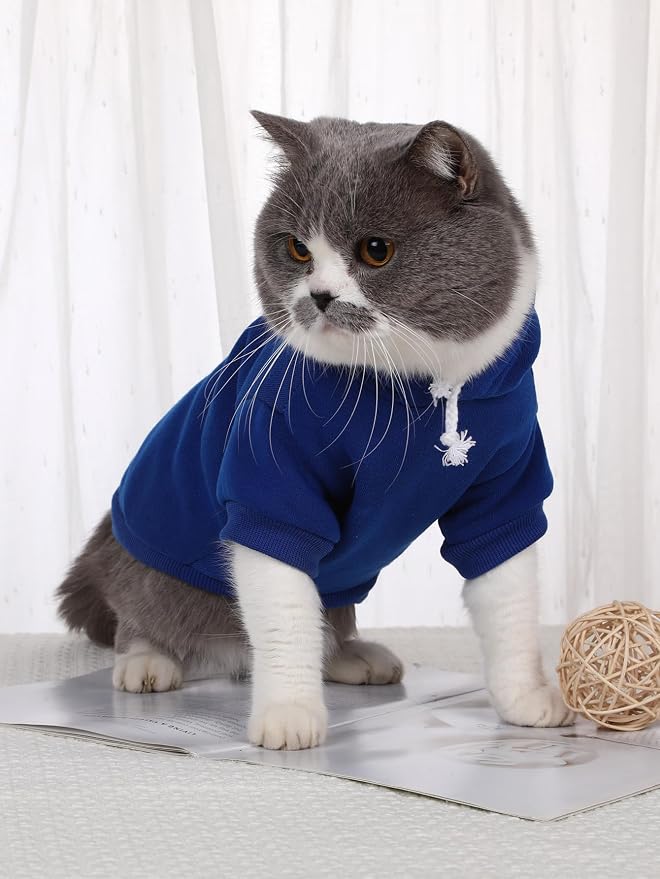 Basic Dog Hoodie Sweatshirt Puppy Sweater Warm Cat Costumes Pet Clothes for Chihuahua Puppy Kitten Small Medium Dogs Royal Blue X-Large