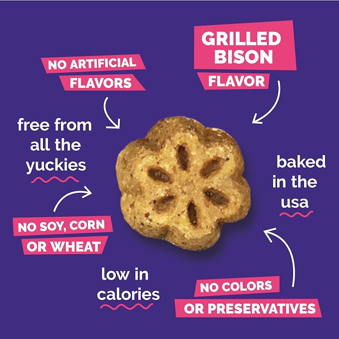 Fruitables Skinny Mini Dog Treats, Healthy Sweet Potato Treat for Dogs, Low Calorie & Delicious, Puppy Training, No Wheat, Corn or Soy, Made in the USA, Grilled Bison Flavor, 20oz