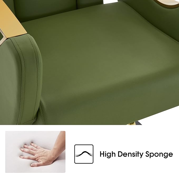 BarberPub Luxurious Classic Barber Chair Hydraulic Pump Recline Beauty Spa Styling Salon for Hair Stylist Equipment 9578 (Green)