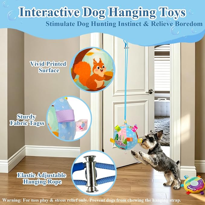 Colorful Squeaky Hanging Dog Toy with Suction Cup for Small Dogs | Bungee Tether, Crinkle Bell Ball, Bouncing Self-Play Toy, Door Frame Mounted, Interactive Fetch for Puppy Teething & Exercise