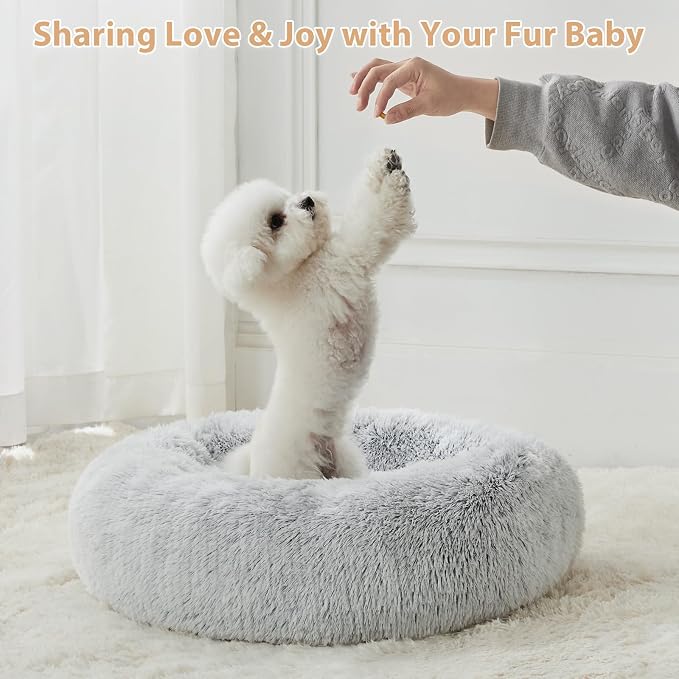 WNPETHOME Small Round Calming Dog Bed Cat Bed for Comfy Sleep | Dog Bed For Small Dog, Cute Washable Puppy Bed with Fuzzy Plush, Fur Anxiety Pet Bed Donut Cuddler (20x20x8in, Light Grey)